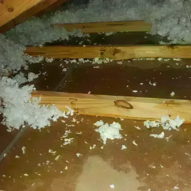 Attic Water Damage in Eugene, OR