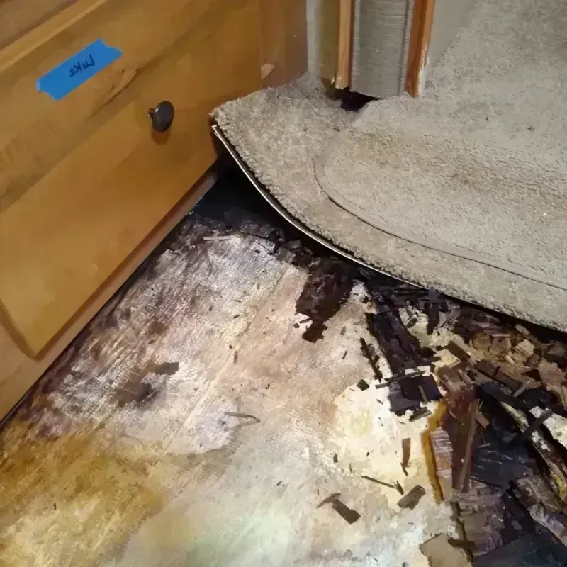 Wood Floor Water Damage in Eugene, OR